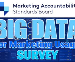 MASB Big Data for Marketing Usage Survey